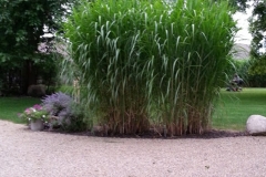 square_grasses_gravel