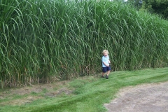 square_grasses_kid